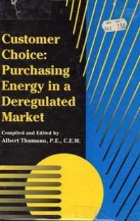 Image of Customer Choice: Purchasing Energy In a Deregulated Market
